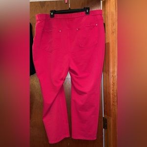 Catherine’s 22/24 (2XWP) Pants